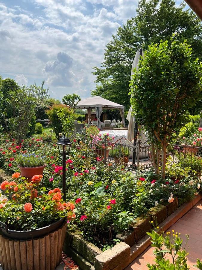 Casa Serenella B&B - Casa Vacanze Piazzola sul Brenta Exterior foto